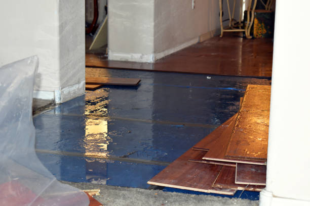 Professional Burst Pipe Cleanup technician working in Apex, NC